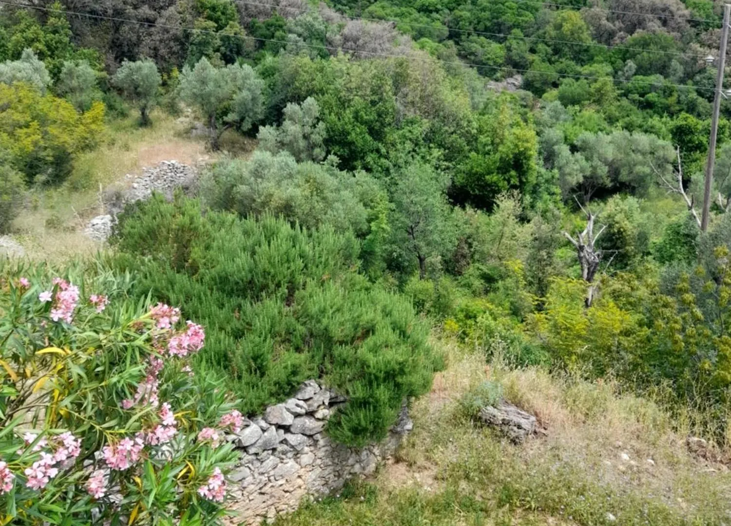 Casa Angelo Villa Nerezine 0*,  Croatia